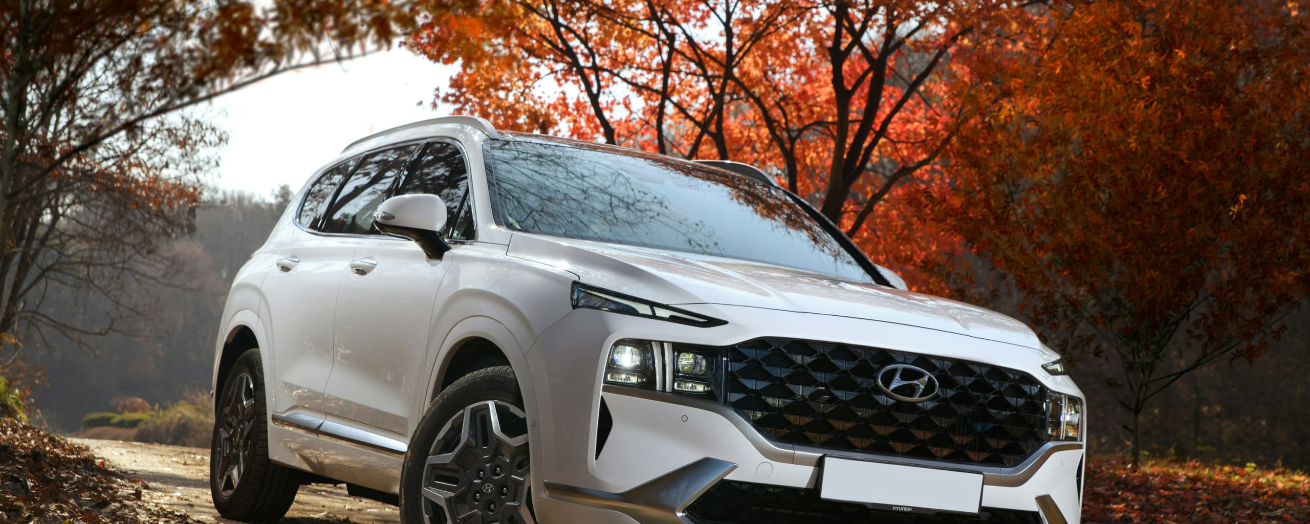 Hyundai Repair and Service near Washington